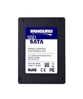 KSSD100-256GB
