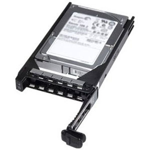 11025H10SAS-300G DELL