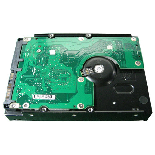 MM501 DELL
