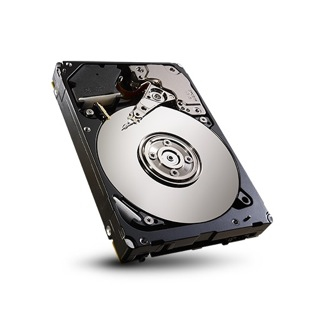 ST9600005SS Seagate