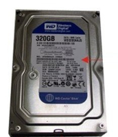 WDC:WD3200AAJS-320