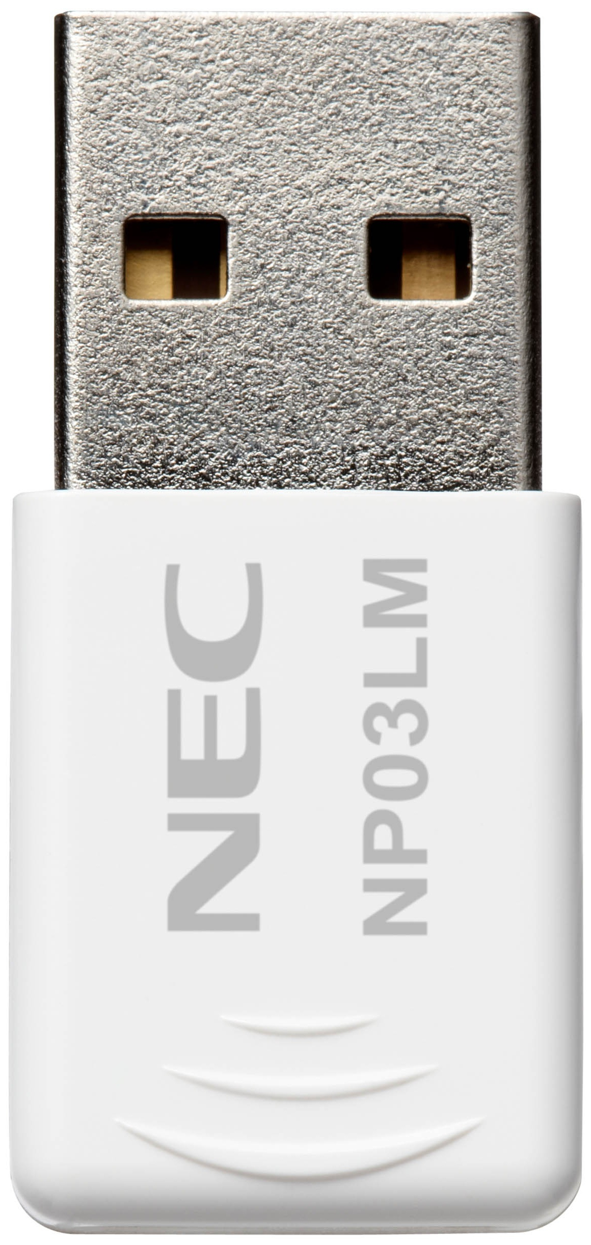 100013039 NEC