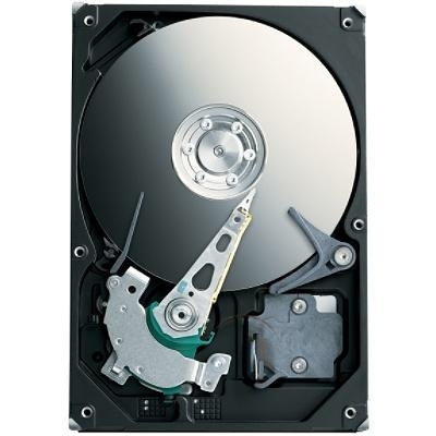 ST3750640A-RK Seagate