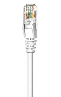 342025 Intellinet