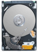 MS-ST9500325AS