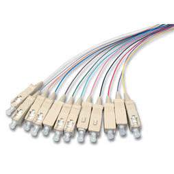 992794 Intellinet