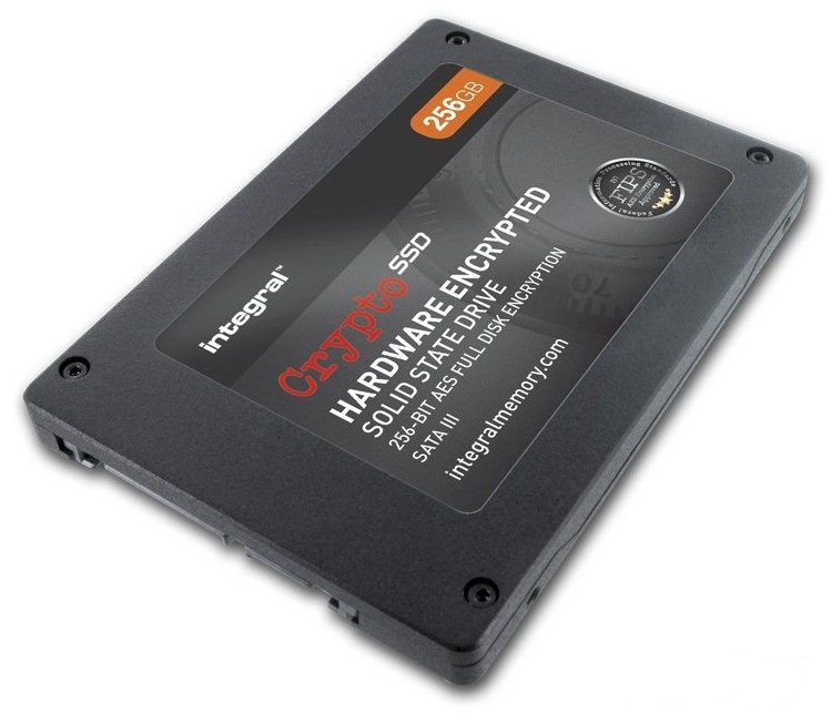INSSD256GS625M7CR197 Integral