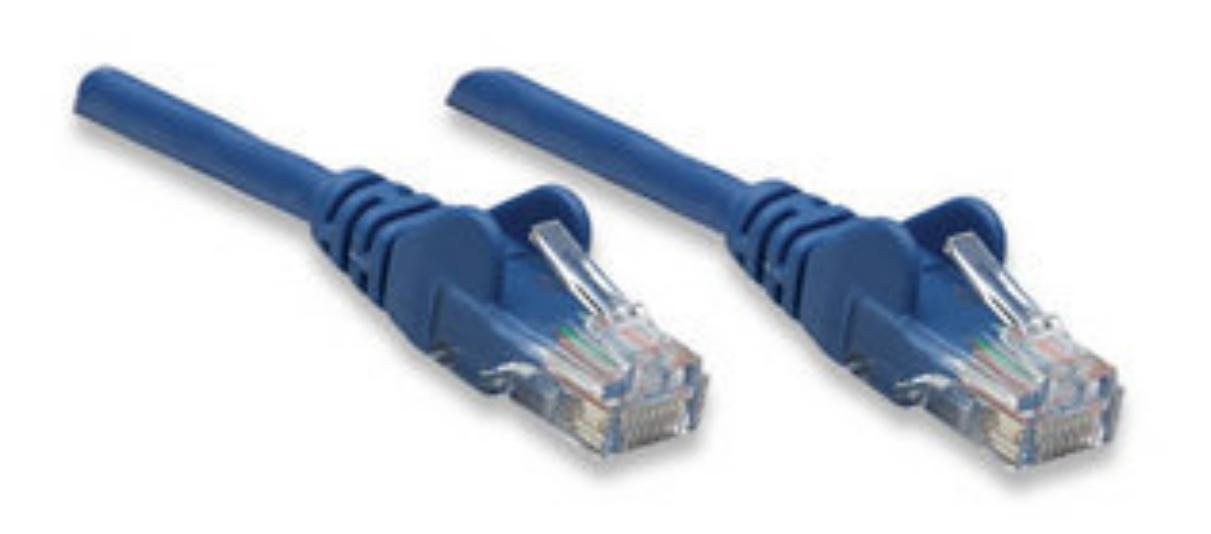 325905 Intellinet