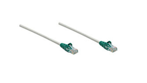 331685 Intellinet