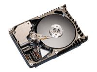 KU036J4 Seagate