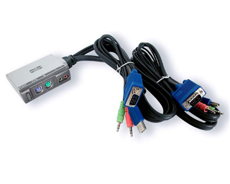 SV221MICUSBA StarTech.com