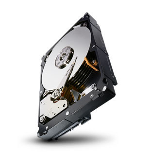 ST4000NM0024 Seagate