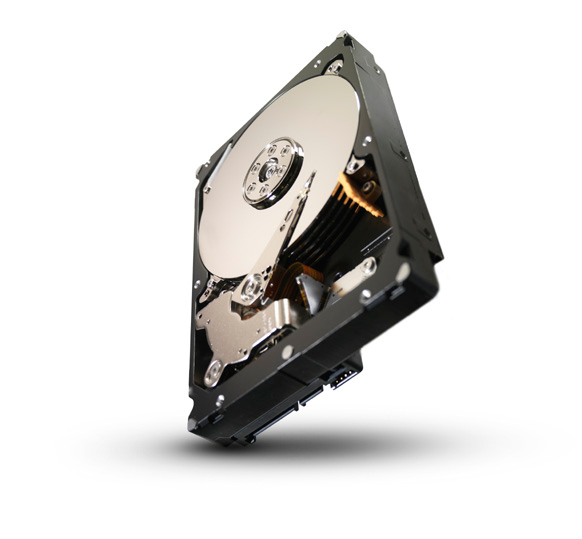 ST33000650SS-20PK Seagate