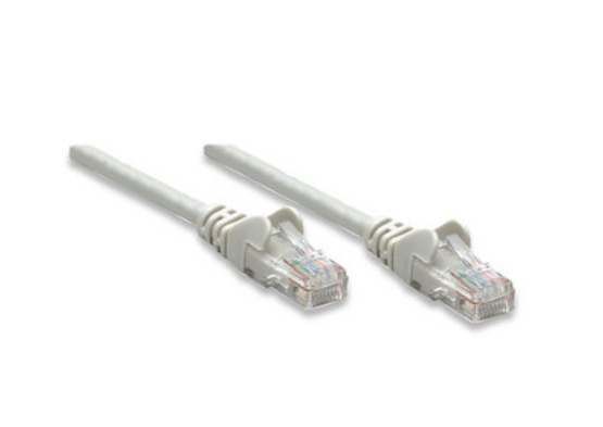 319867-50P Intellinet