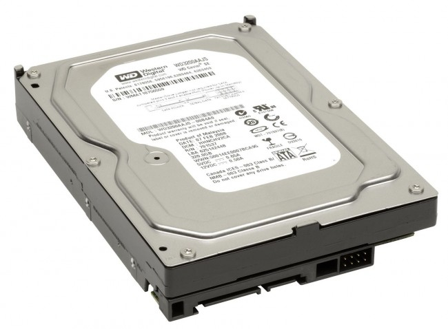 KH.75008.011 Acer